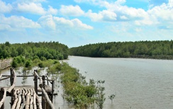 Cà Mau: Gần 100 tỷ đồng quản lý rừng bền vững ở Đất Mũi