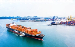 Lợi nhuận vận tải biển tích cực nhưng còn nhiều thách thức