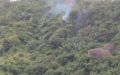 Bộ Quốc phòng thông tin về sự cố máy bay quân sự rơi tại Đắk Lắk