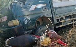 Bản tin TNGT 30/1: Xe tải không người lái tự trôi, va trúng 2 mẹ con khiến bé gái tử vong