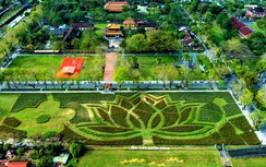 Đoá hoa sen khổng lồ bên Kinh thành Huế sẵn sàng đón tết Bính Ngọ 2026
