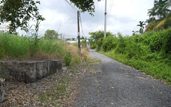 Cần Thơ: Tái khởi động dự án cầu Trần Bạch Đằng sau 10 năm "bất động"