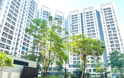 Hà Nội: Hàng loạt dự án nhà ở xã hội thông báo chuyển bán căn hộ thuê mua