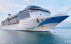 Khánh Hòa liên tiếp đón tàu du lịch biển quốc tế, hơn 2.200 khách cập cảng Cam Ranh