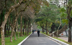 Hà Nội đề xuất phát triển đô thị xanh, thông minh, bền vững