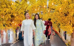 Khai mạc Lễ hội Tết Việt Bính Ngọ 2026 ở TP.HCM: "Đẹp xưa trong rạng rỡ hôm nay"