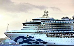 Khánh Hòa đón 2.500 du khách tàu biển quốc tế trong ngày cận Tết