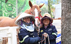 Tết ấm áp cho người lao động xa quê ở lại thành phố