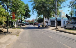 Quảng Ngãi: Cấp xã cấp giấy phép chặt hạ, dịch chuyển cây xanh