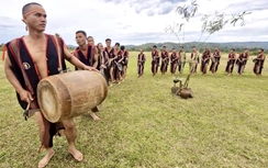 Triển vọng ngành du lịch Gia Lai trong Năm Du lịch quốc gia 2026