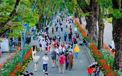 Du lịch Huế thu hơn 736 tỷ đồng trong 6 ngày nghỉ Tết