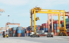 Rộn ràng xuất khẩu đầu Xuân, mở nhịp tăng trưởng theo mô hình mới