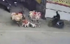 “Ma men” phóng xe gây tai nạn khiến một cháu bé tử vong