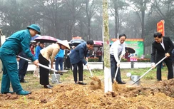 Hà Nội: 126 xã, phường phát động "Tết trồng cây"