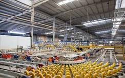 Doanh nghiệp vật liệu tư nhân kỳ vọng môi trường kinh doanh minh bạch, thông thoáng