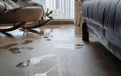 Nồm ẩm sau Tết ở miền Bắc: Cách giữ nhà khô ráo, hạn chế nấm mốc