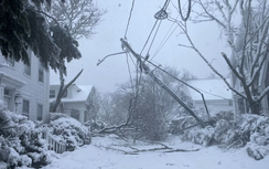 Bão tuyết làm tê liệt giao thông vùng Đông Bắc nước Mỹ