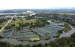 Quảng Ngãi giao thêm 380.000m2 đất cho doanh nghiệp làm dự án bất động sản