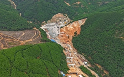 Nhà thầu chạy đua rút ngắn thời gian thi công cao tốc Khánh Hòa - Buôn Ma Thuột