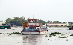 Bến phà nối Cần Thơ, Vĩnh Long hoạt động trở lại sau 3 tháng tạm dừng