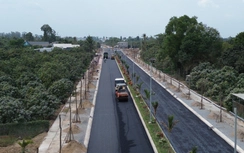 Đồng Tháp: Thông xe đường Trần Bá Lê trước tết Nguyên đán 2026