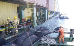 Sửa quy định về cấp giấy xác nhận cho tổ chức cung ứng thuyền viên