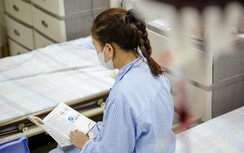 Ngóng chờ những giọt hồng ngày cận Tết