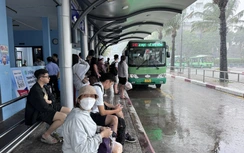 TP.HCM: Cao điểm vận tải công cộng 20 ngày phục vụ Tết và lễ hội xuân Bính Ngọ