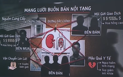 Bộ Y tế yêu cầu thực hiện việc lấy, ghép tạng theo đúng pháp luật