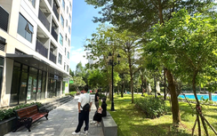 Giá chung cư có giảm khi lãi suất tăng?