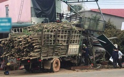 Bản tin TNGT 12/3: Khởi tố tài xế xe tải gây tai nạn khiến cháu bé tử vong tại Quảng Trị