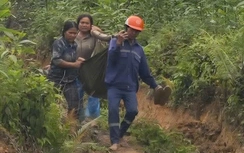 Chặt keo dưới đường dây cao thế ở Quảng Ngãi, hai người bị điện giật nguy kịch