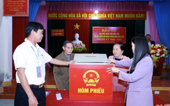 Kiểm phiếu, xác định kết quả bầu cử đại biểu Quốc hội và HĐND như thế nào?