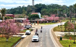 Quảng Ngãi: Sớm triển khai cao tốc Quảng Ngãi - Kon Tum và nâng cấp QL24