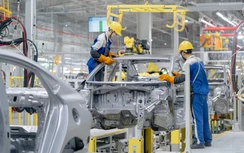 Sản lượng ô tô lắp ráp áp đảo xe nhập khẩu