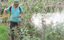 Gần 30% nông dân vi phạm sử dụng thuốc BVTV