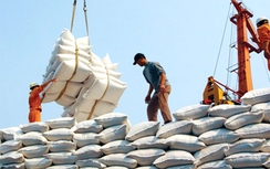 Xuất khẩu gạo sang châu Phi, Tây Á, Nam Á phục hồi