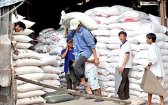 Đã xuất khẩu được hơn 2 triệu tấn gạo