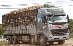 Đắk Lắk: Nhà máy tinh bột “tiếp tay” xe quá tải