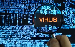 Năm 2015, virus máy tính gây thiệt hại 8.700 tỷ đồng