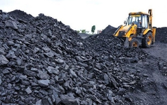 Năm 2016, TKV sẽ nhập khẩu khoảng1,5 triệu tấn than