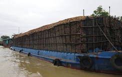 Tàu chở gỗ dăm quá khổ, đe dọa ATGT đường thủy