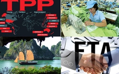 Sau TPP, bao nhiêu doanh nghiệp Việt Nam có thể hội nhập