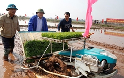 Bí thư, Chủ tịch Hà Nội lội ruộng cấy lúa cùng nông dân
