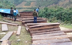 Rừng Cao Bằng "chảy máu": Kiểm điểm Hạt Kiểm lâm huyện Nguyên Bình