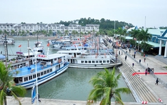 Quảng Ninh siết chặt hoạt động ATGT du lịch đường thủy