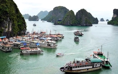 Quảng Ninh đề nghị niên hạn riêng cho tàu du lịch vịnh Hạ Long