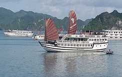 Tăng cường quản lý tàu du lịch trên vịnh Hạ Long