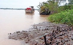 “Cát tặc” tấn công sông Đồng Nai, sạt lở nghiêm trọng