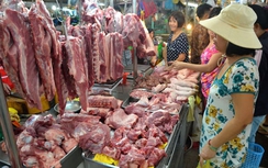 TP.HCM chính thức sử dụng phần mềm truy xuất nguồn gốc thịt lợn